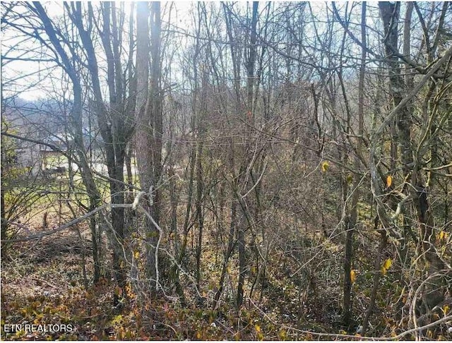 5208 Asheville Hwy, Knoxville, TN 37914 - photo 1
