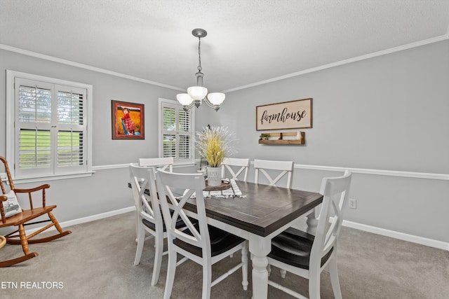 1420 Brentwood Dr, Athens, TN 37303 - dining room featuring crown molding, carpet flooring, a textured ceiling, healthy amount of natural light, and baseboards