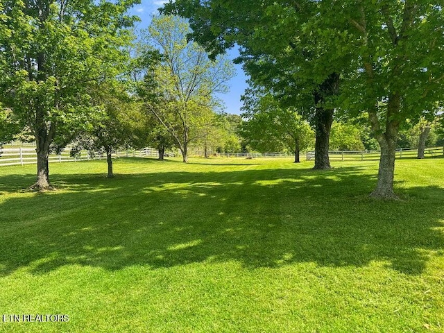 4957 Decatur Hwy, Ten Mile, TN 37880 - photo 57