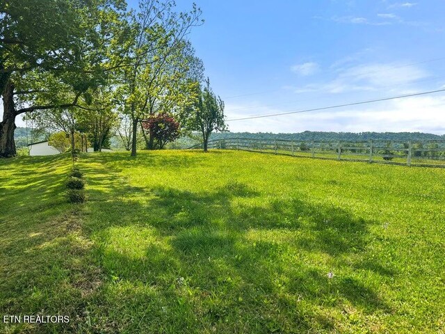 4957 Decatur Hwy, Ten Mile, TN 37880 - photo 58