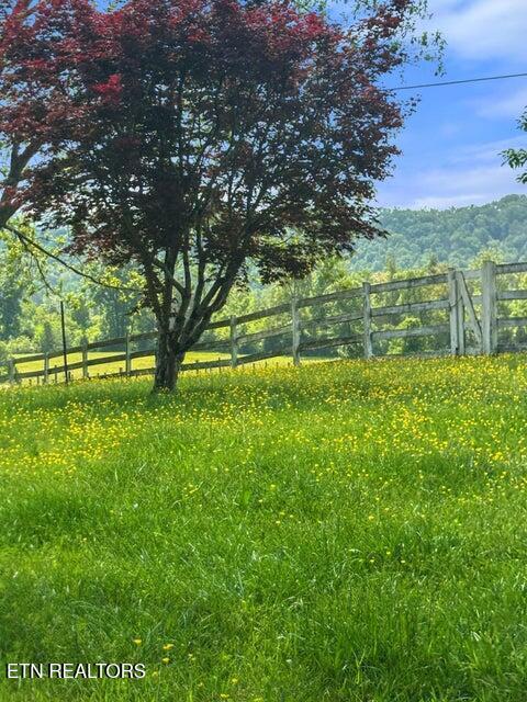 4957 Decatur Hwy, Ten Mile, TN 37880 - photo 59