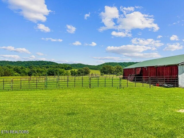 4957 Decatur Hwy, Ten Mile, TN 37880 - photo 44