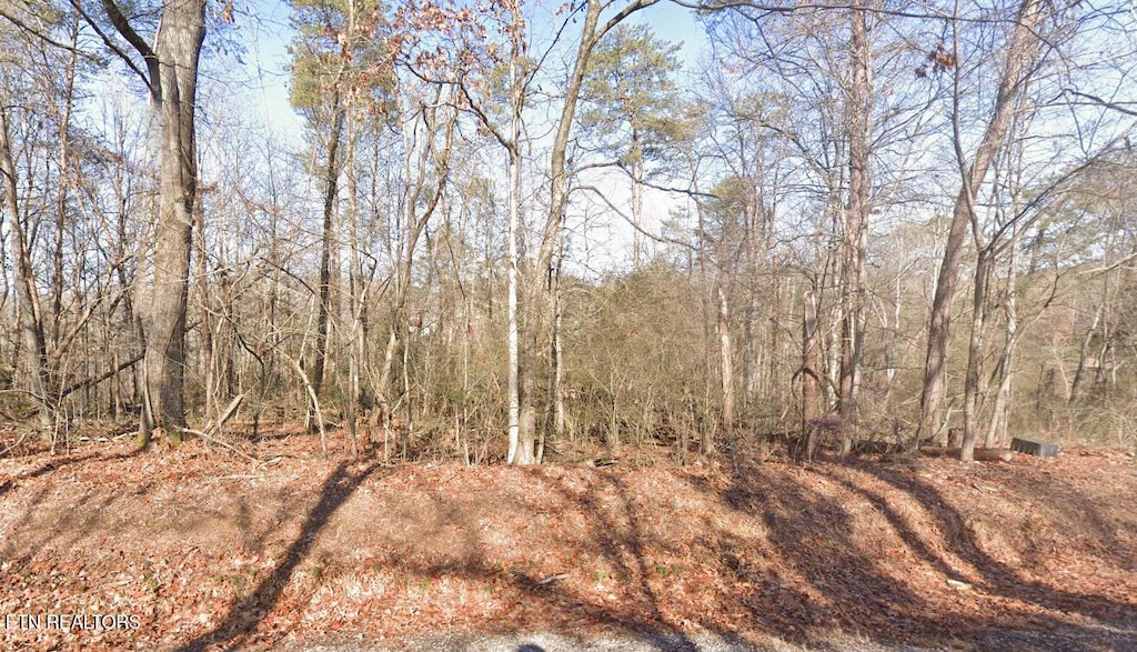109 Chanusi Way, Loudon, TN 37774