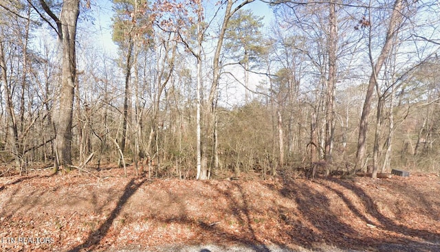 109 Chanusi Way, Loudon, TN 37774