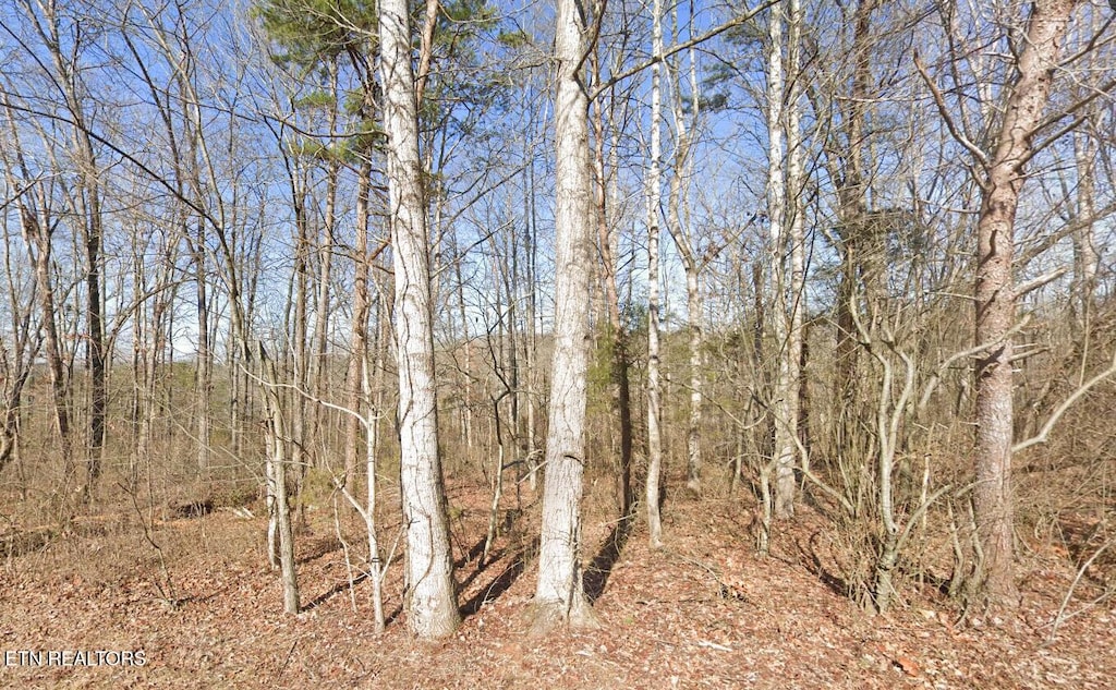 115 Chanusi Way, Loudon, TN 37774