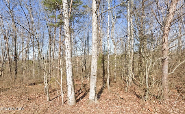 115 Chanusi Way, Loudon, TN 37774