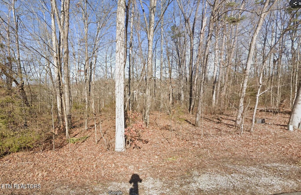 117 Chanusi Way, Loudon, TN 37774
