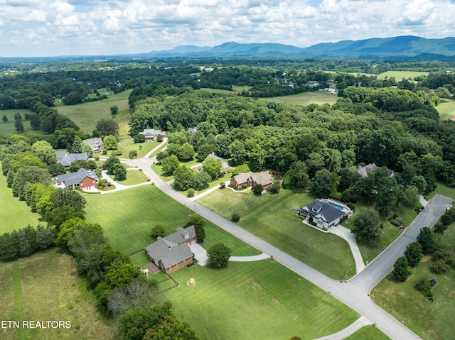 507 Cypress Dr, Maryville, TN 37803 - photo 43
