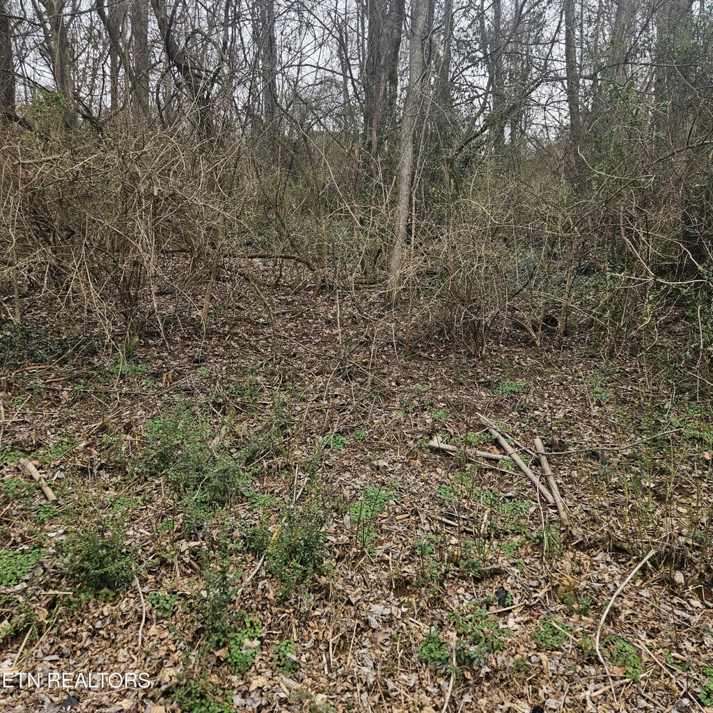 Cherokee Trl, Seymour, TN 37865 - photo 2