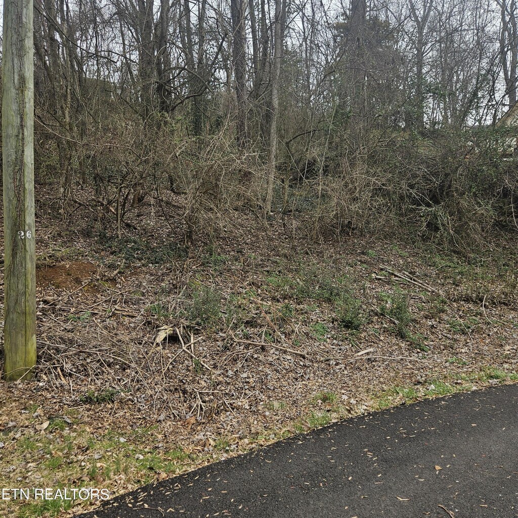 Cherokee Trl, Seymour, TN 37865 - photo 1