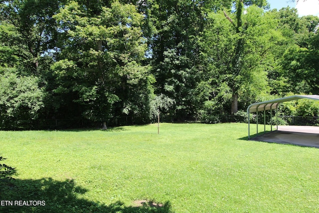4403 Fulton Dr, Knoxville, TN 37918 - photo 40