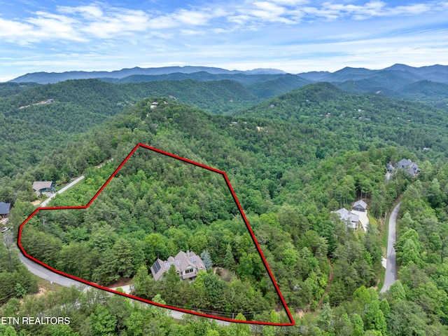670 Hawk View Dr, Townsend, TN 37882 - aerial view of property and surrounding area with a heavily wooded area, property parcel outlined, and a mountainous background