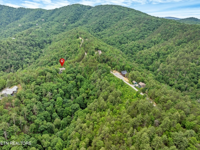 670 Hawk View Dr, Townsend, TN 37882 - aerial view of property's location featuring a heavily wooded area and a mountainous background