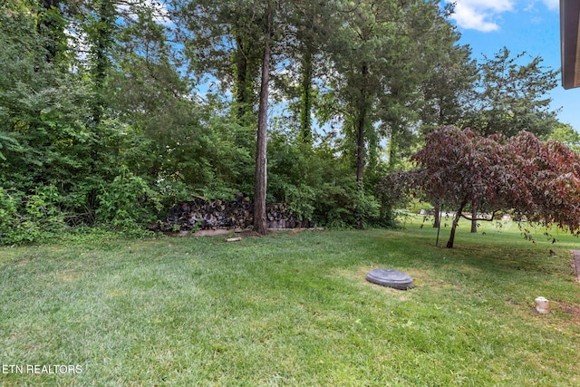 115 Tsuhdatsi Way, Loudon, TN 37774 - view of green lawn