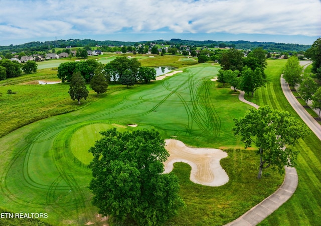 702 Blackrock Run, Loudon, TN 37774