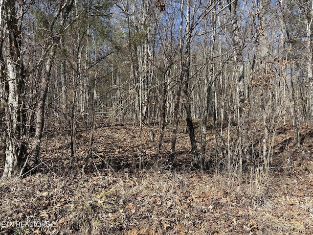 0 Big Creek Rd, Madisonville, TN 37354 - photo 1