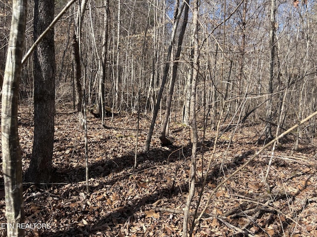 0 Big Creek Rd, Madisonville, TN 37354 - photo 2