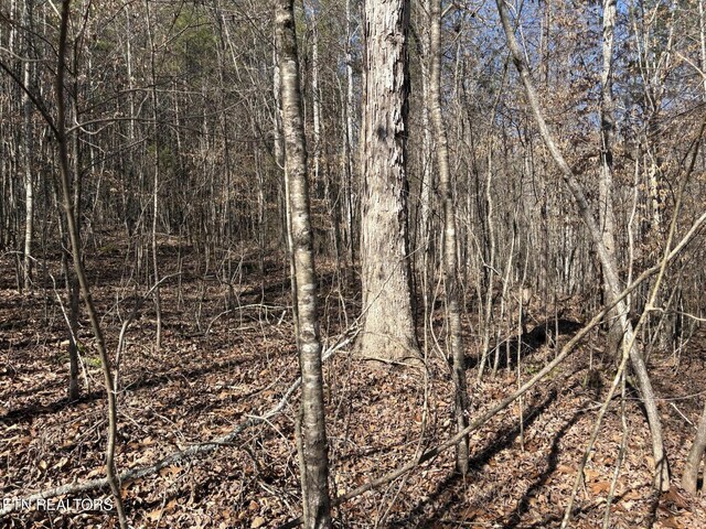 0 Big Creek Rd, Madisonville, TN 37354 - photo 3