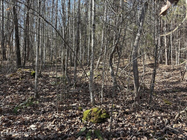 0 Big Creek Rd, Madisonville, TN 37354 - photo 4