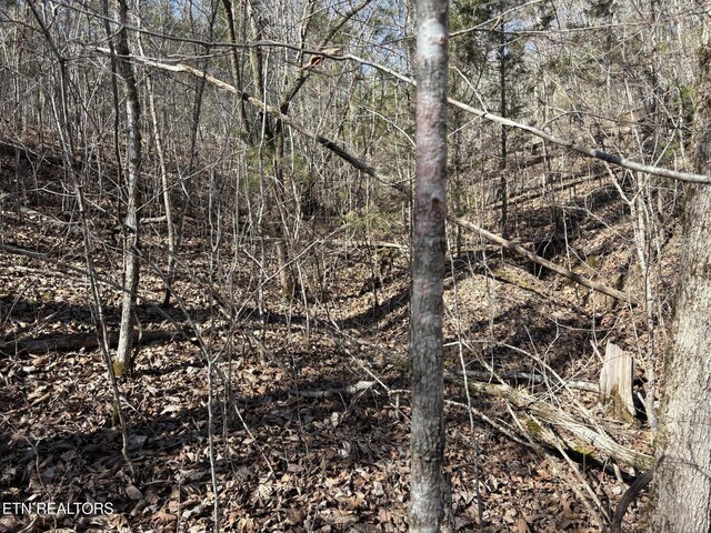 0 Big Creek Rd, Madisonville, TN 37354 - photo 7