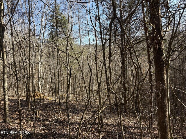0 Big Creek Rd, Madisonville, TN 37354 - photo 8