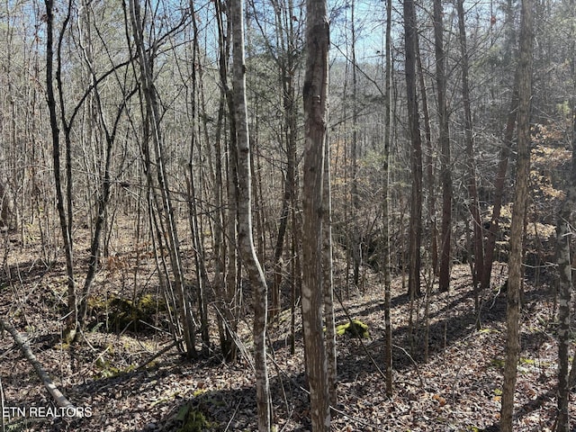 0 Big Creek Rd, Madisonville, TN 37354 - photo 9