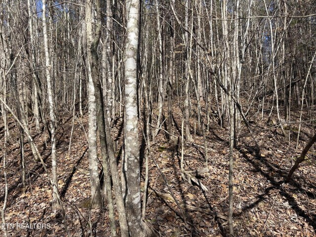 0 Big Creek Rd, Madisonville, TN 37354 - photo 10