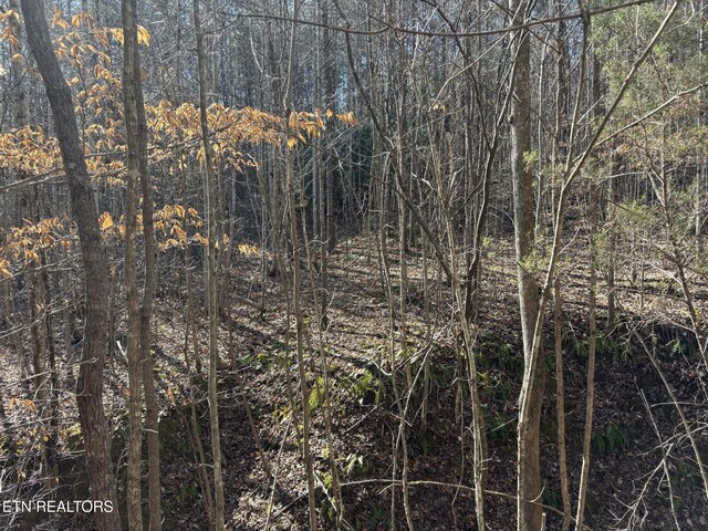 0 Big Creek Rd, Madisonville, TN 37354 - photo 11