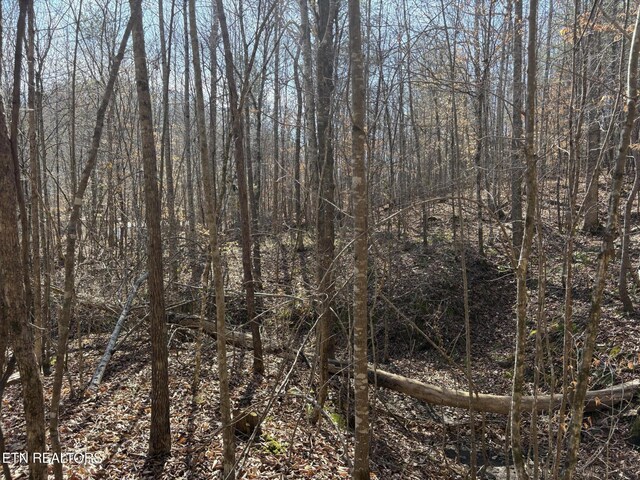 0 Big Creek Rd, Madisonville, TN 37354 - photo 12