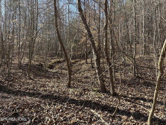 0 Big Creek Rd, Madisonville, TN 37354 - photo 13