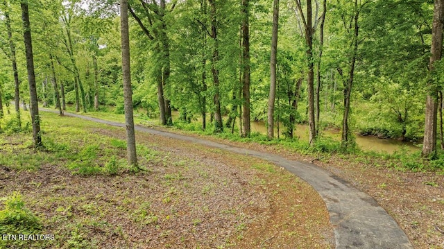 3312 Guinn Rd, Knoxville, TN 37931 - photo 7