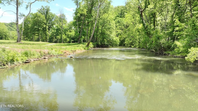 3312 Guinn Rd, Knoxville, TN 37931 - photo 21