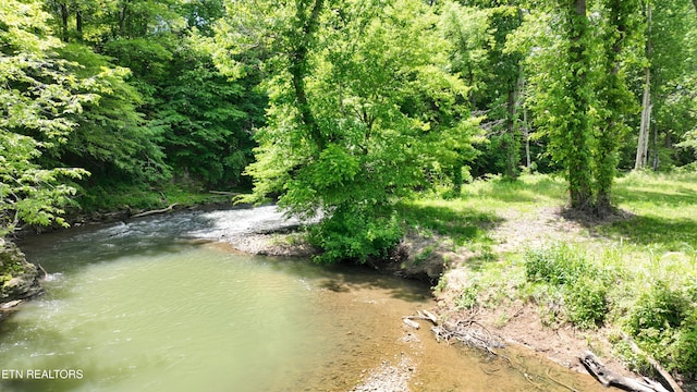 3312 Guinn Rd, Knoxville, TN 37931 - photo 25