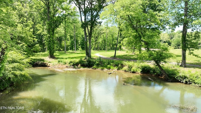 3312 Guinn Rd, Knoxville, TN 37931 - photo 26