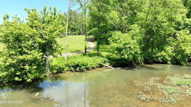 3312 Guinn Rd, Knoxville, TN 37931 - photo 27