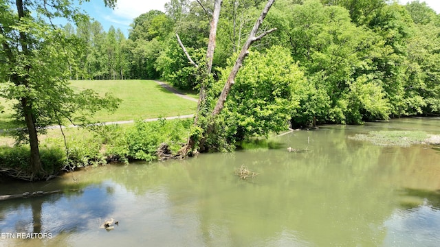 3312 Guinn Rd, Knoxville, TN 37931 - photo 28