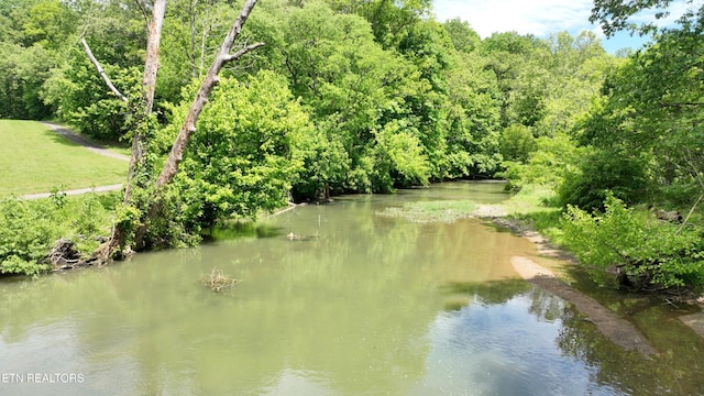 3312 Guinn Rd, Knoxville, TN 37931 - photo 8