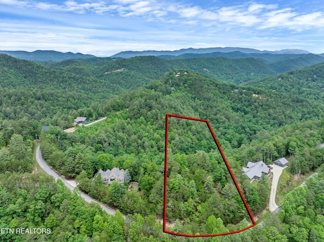 Hawk View Rd, Townsend, TN 37882