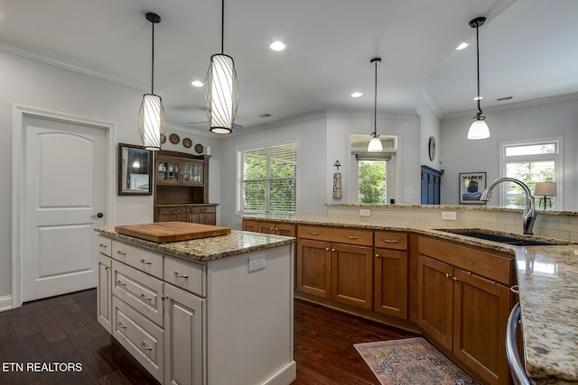 220 Tommotley Dr, Loudon, TN 37774 - kitchen with a sink, ornamental molding, brown cabinetry, dark wood-type flooring, and light stone countertops