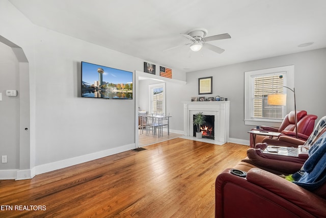 2608 Avondale Ave, Knoxville, TN 37917 - photo 10
