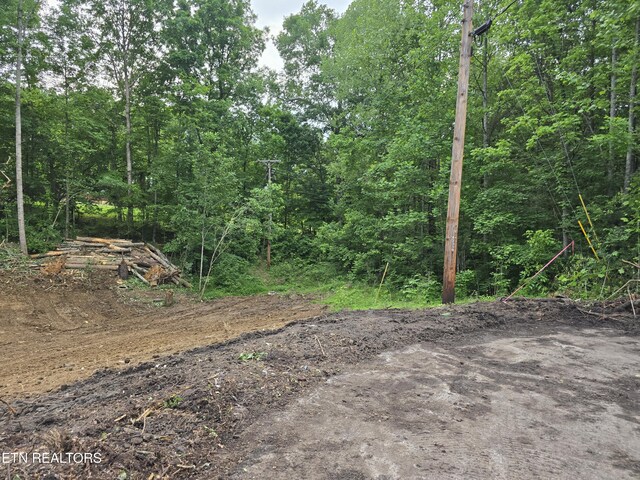 7300 Hardy Ln, Knoxville, TN 37924 - photo 3