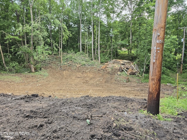 7300 Hardy Ln, Knoxville, TN 37924 - photo 2