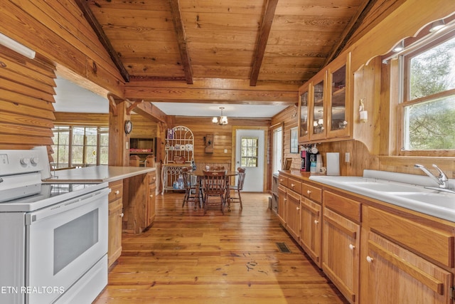 2009 Tellico Reliance Rd, Reliance, TN 37369 - kitchen with electric stove, healthy amount of natural light, glass insert cabinets, light wood-style flooring, and wooden walls