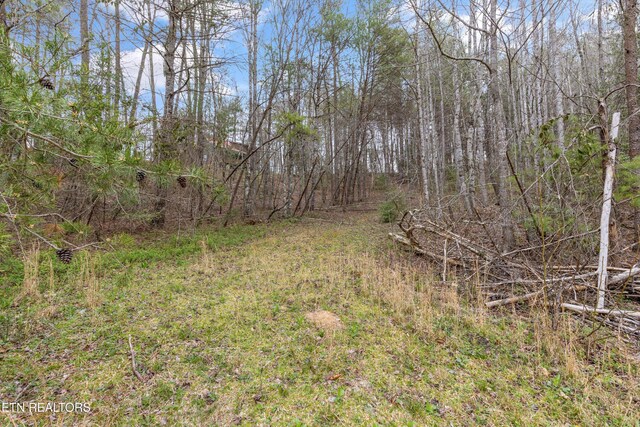 2009 Tellico Reliance Rd, Reliance, TN 37369 - view of yard