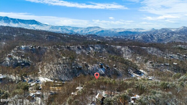 1304 Pine Trl, Sevierville, TN 37876 - photo 40