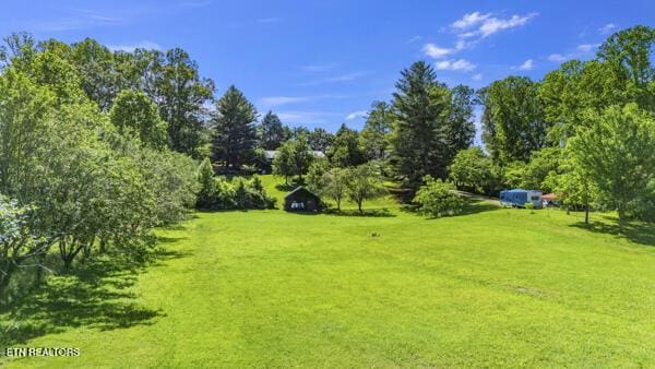 441 Morton Rd, Lafollette, TN 37766 - view of grassy yard