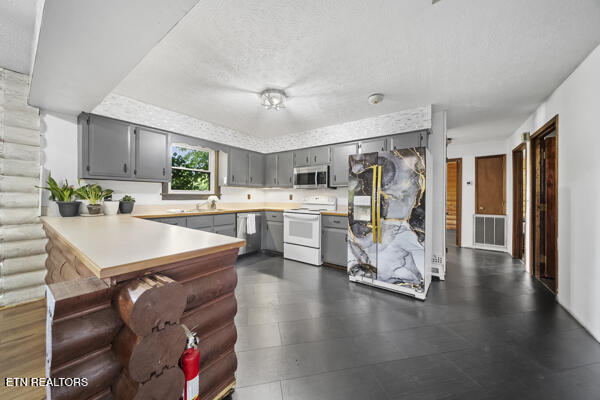 441 Morton Rd, Lafollette, TN 37766 - kitchen with stainless steel appliances, gray cabinetry, a peninsula, light countertops, and a textured ceiling