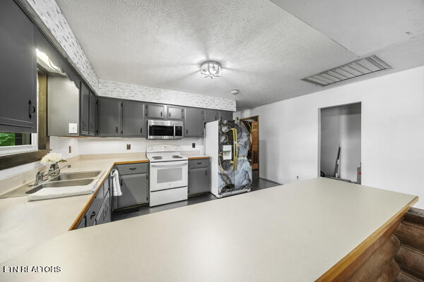 441 Morton Rd, Lafollette, TN 37766 - kitchen featuring electric range, stainless steel microwave, a sink, light countertops, and a textured ceiling