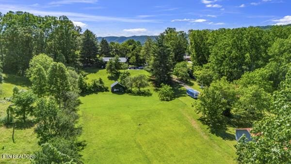 441 Morton Rd, Lafollette, TN 37766 - aerial view of a forest