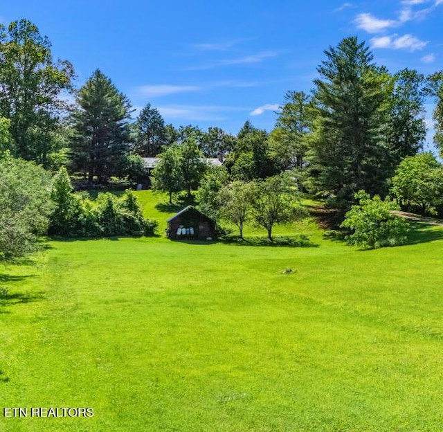 441 Morton Rd, Lafollette, TN 37766 - view of green lawn